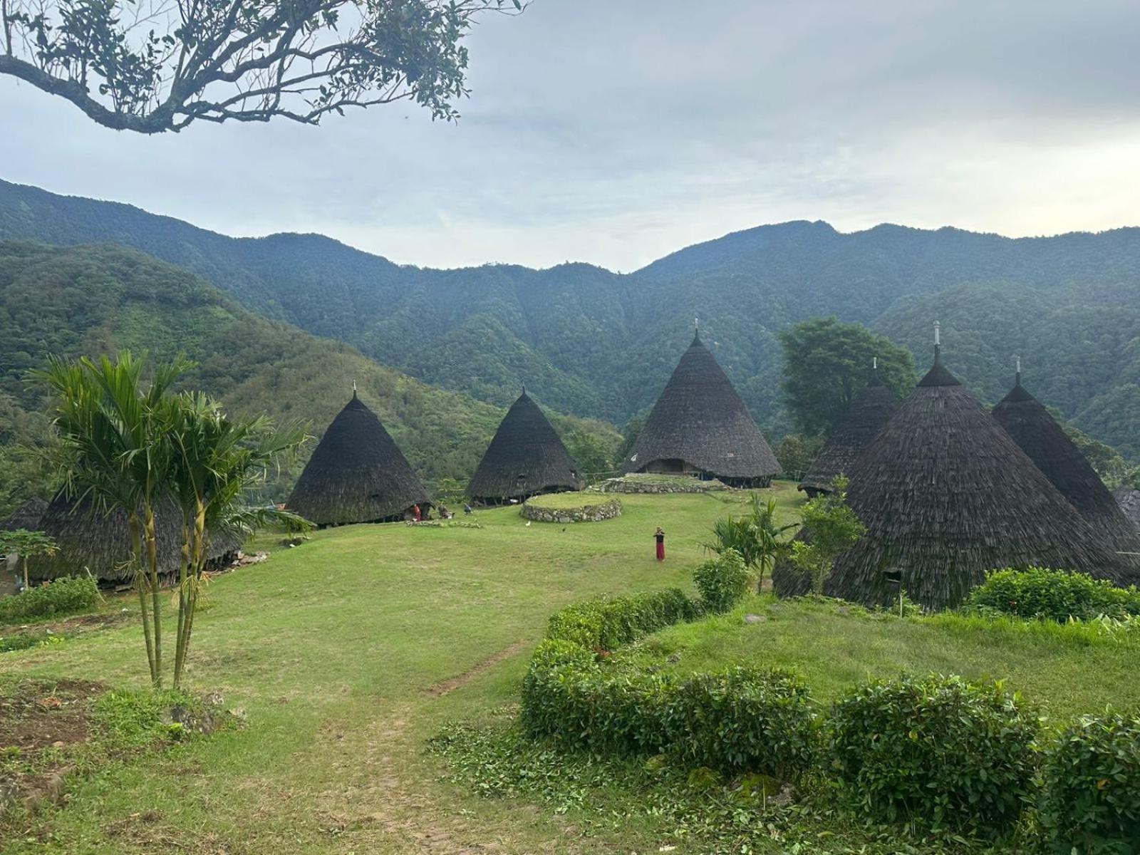 D'Flora Homestay Labuan Bajo Buitenkant foto