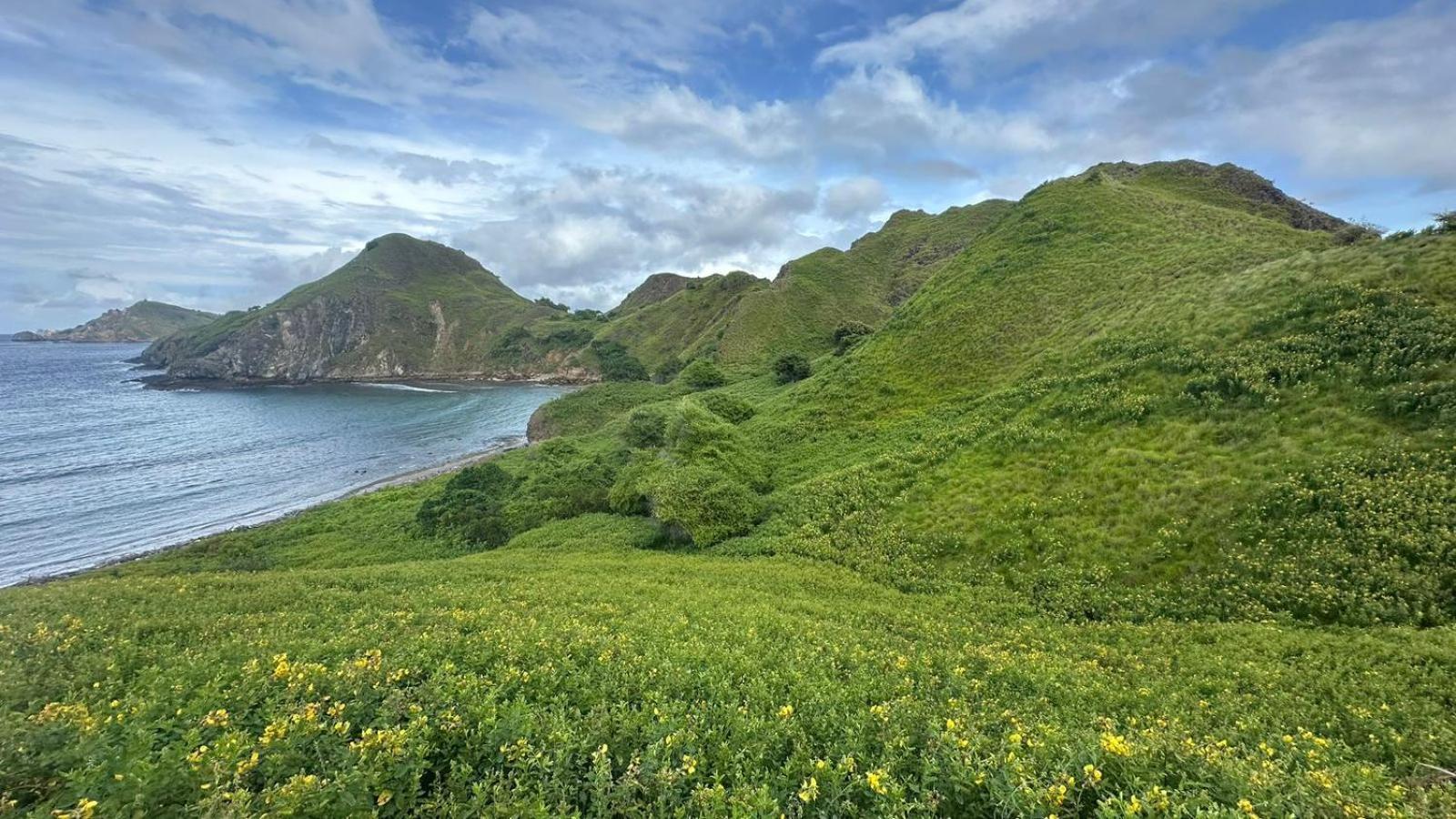 D'Flora Homestay Labuan Bajo Buitenkant foto