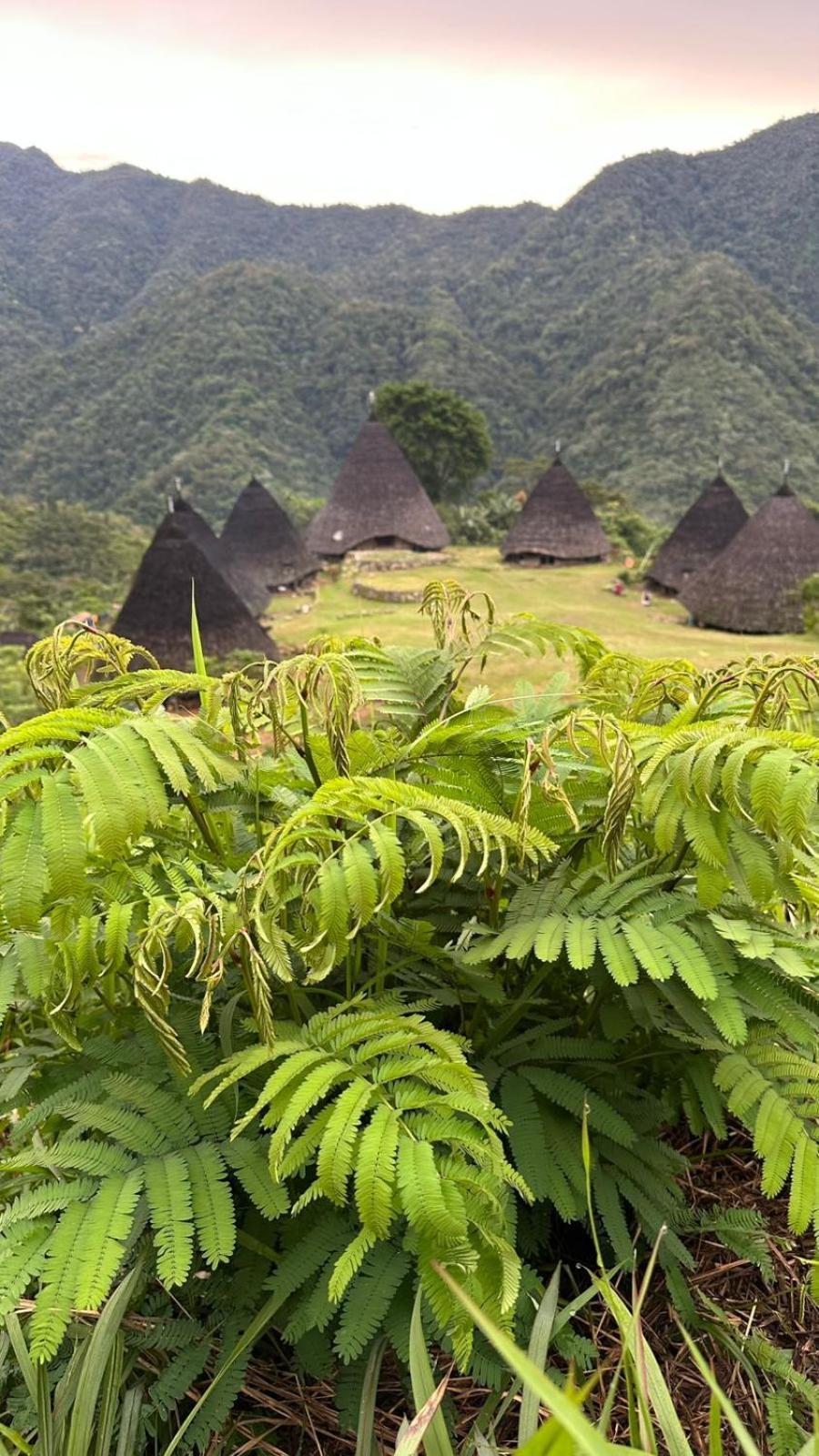 D'Flora Homestay Labuan Bajo Buitenkant foto